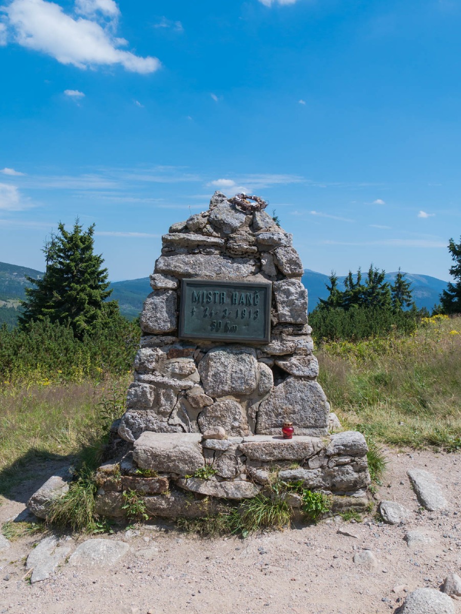 0028 medvedin 0028 medvedin