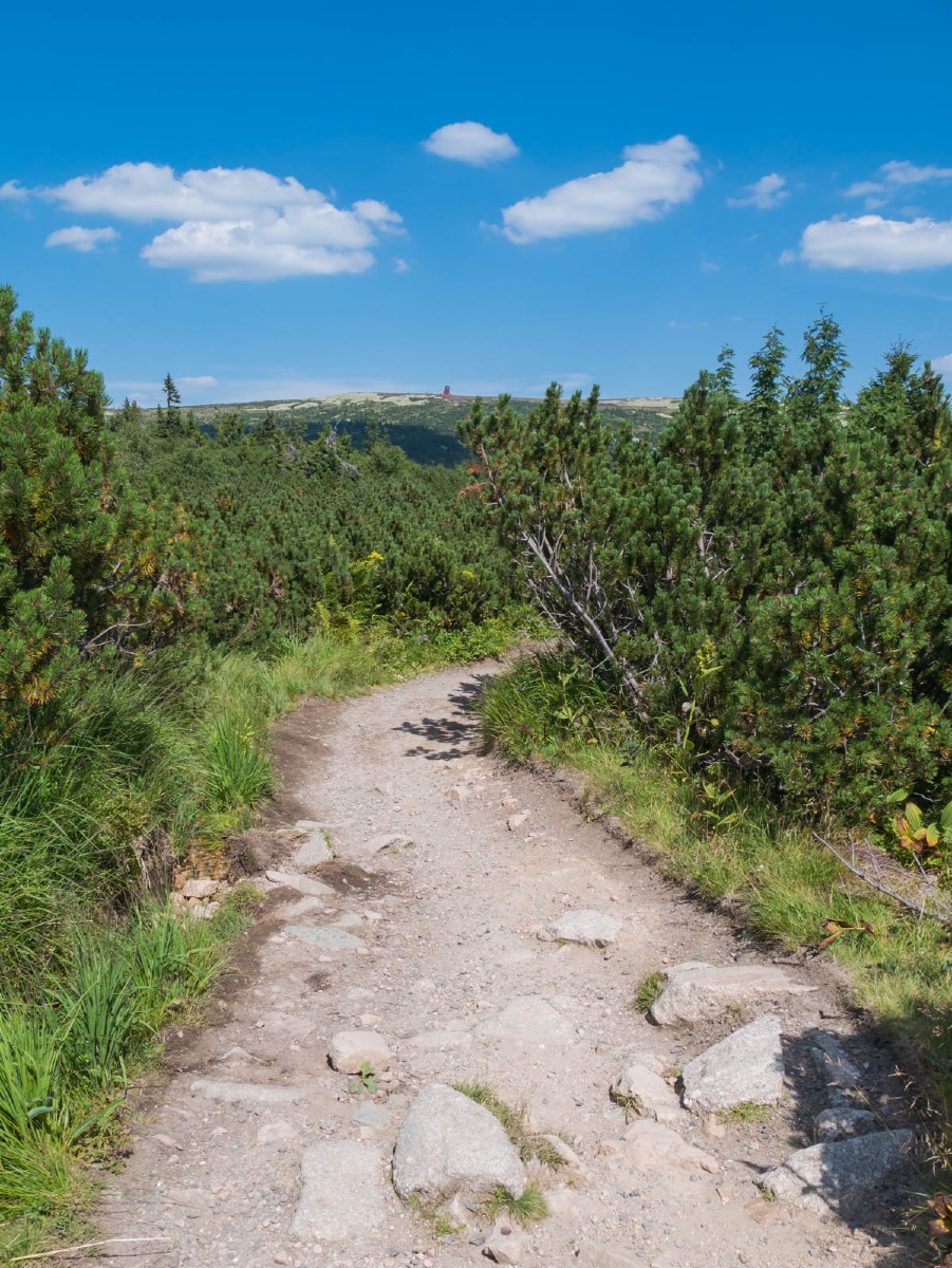 0031 medvedin 0031 medvedin