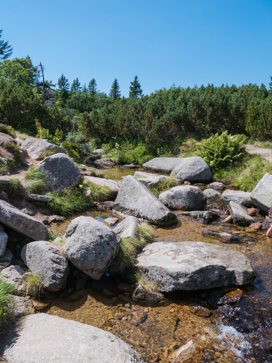 0032 medvedin 0032 medvedin