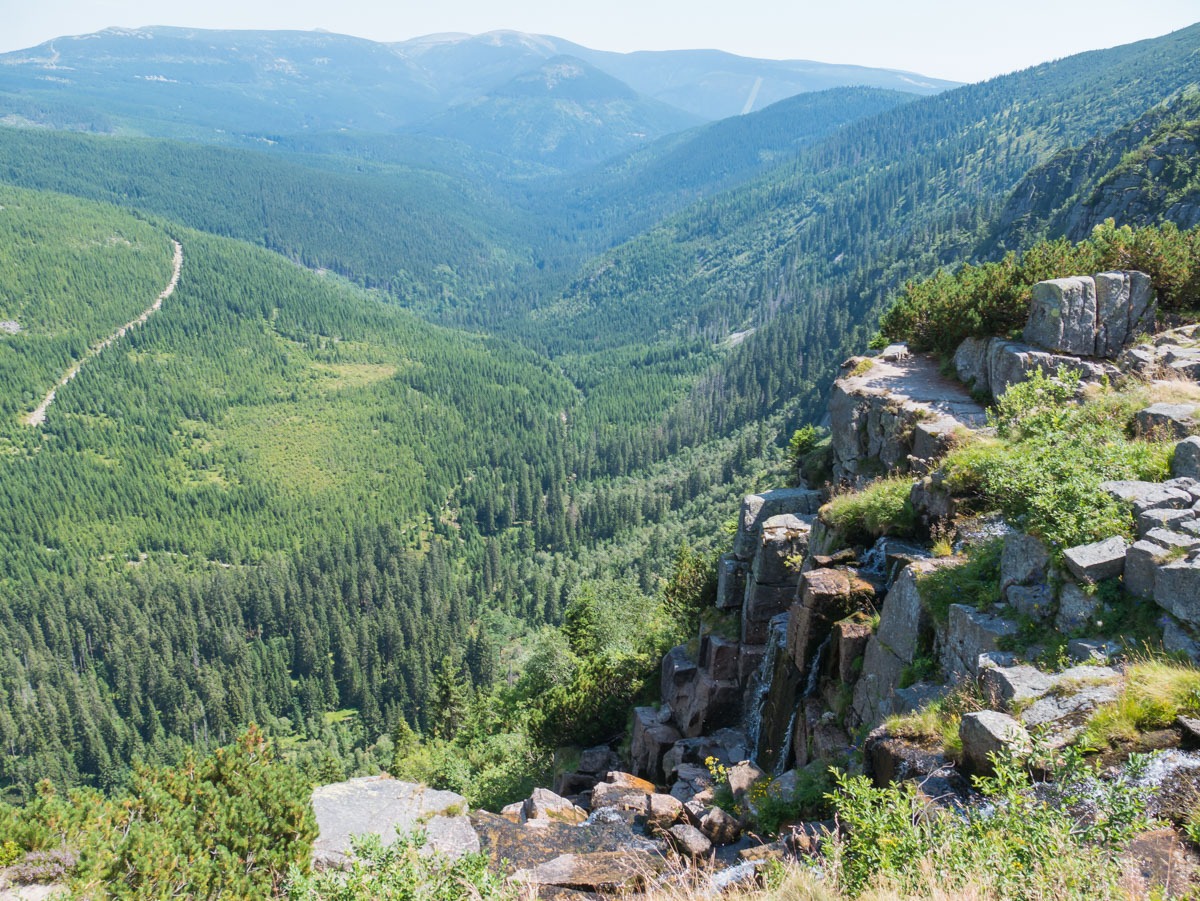 0033 medvedin 0033 medvedin