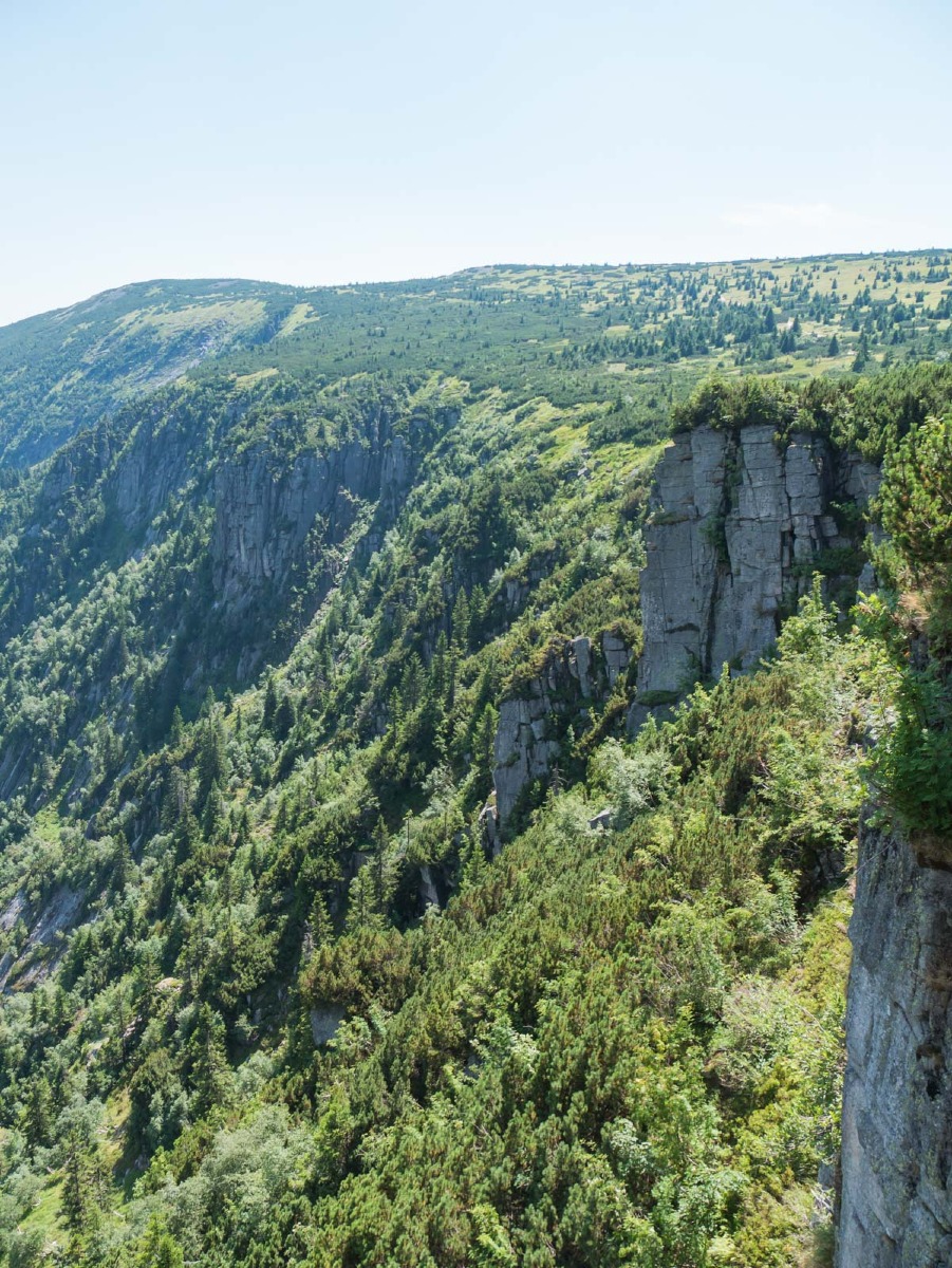 0034 medvedin 0034 medvedin