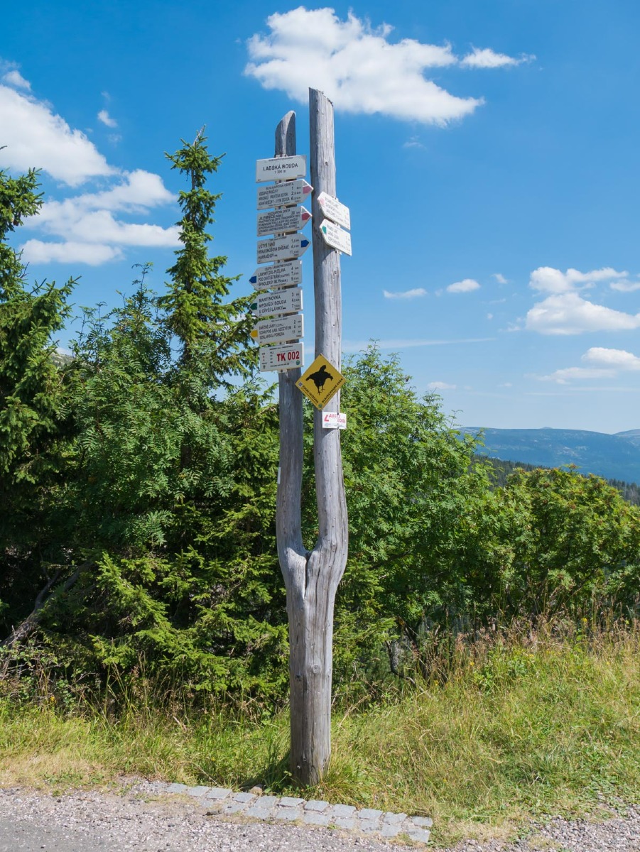 0035 medvedin 0035 medvedin