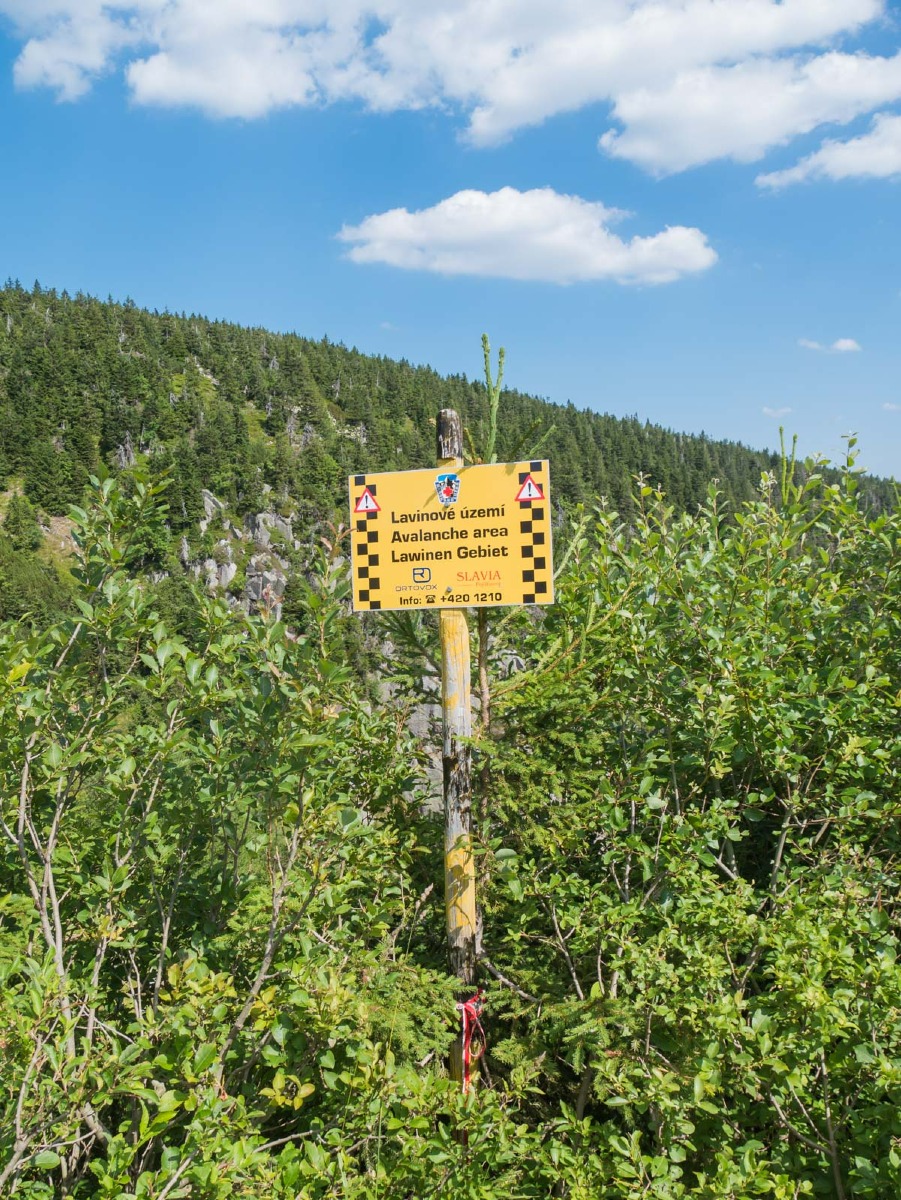 0040 medvedin 0040 medvedin