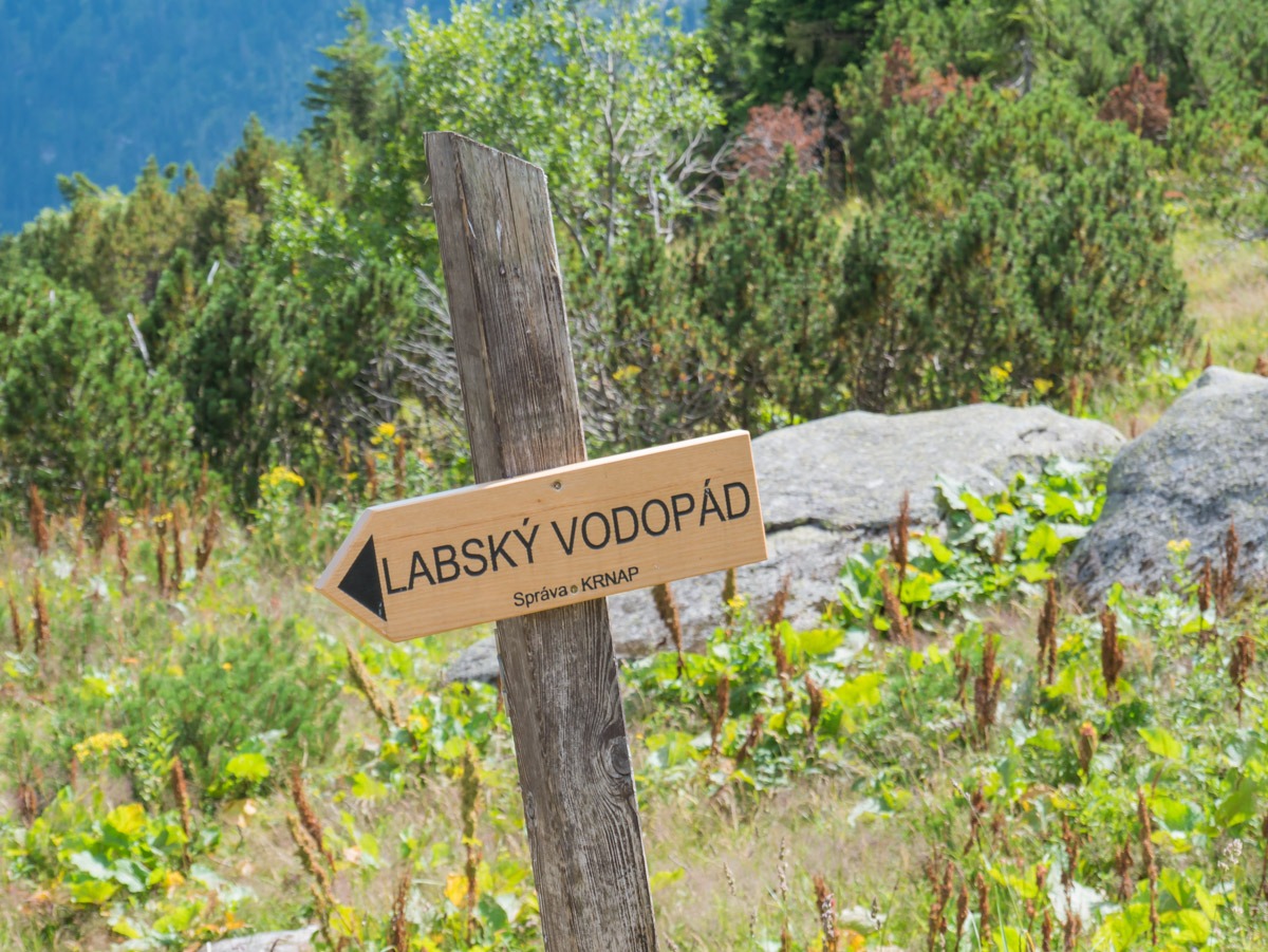 0041 medvedin 0041 medvedin