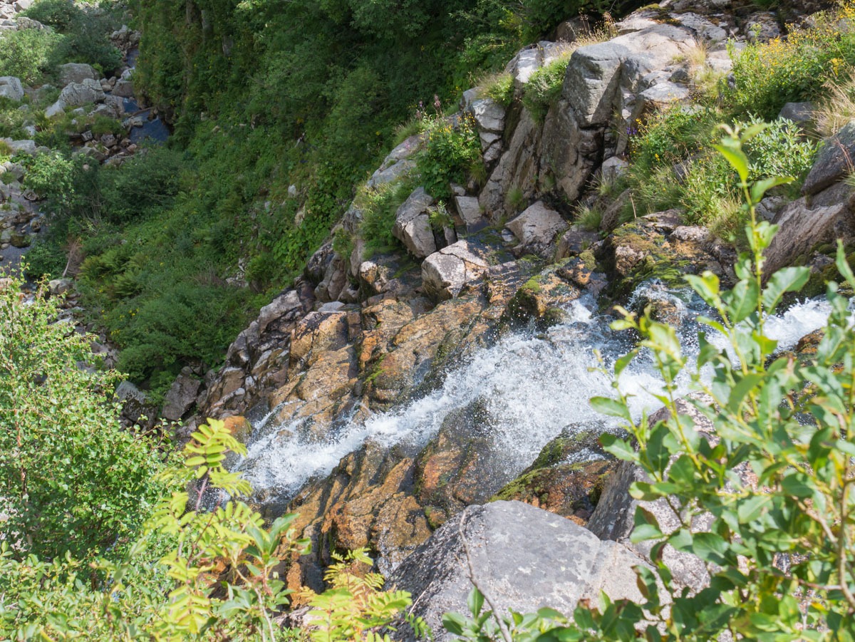 0043 medvedin 0043 medvedin