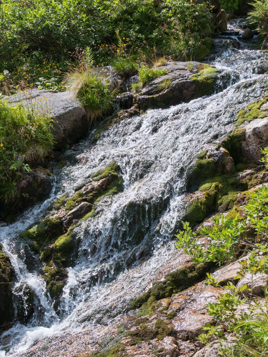 0044 medvedin 0044 medvedin