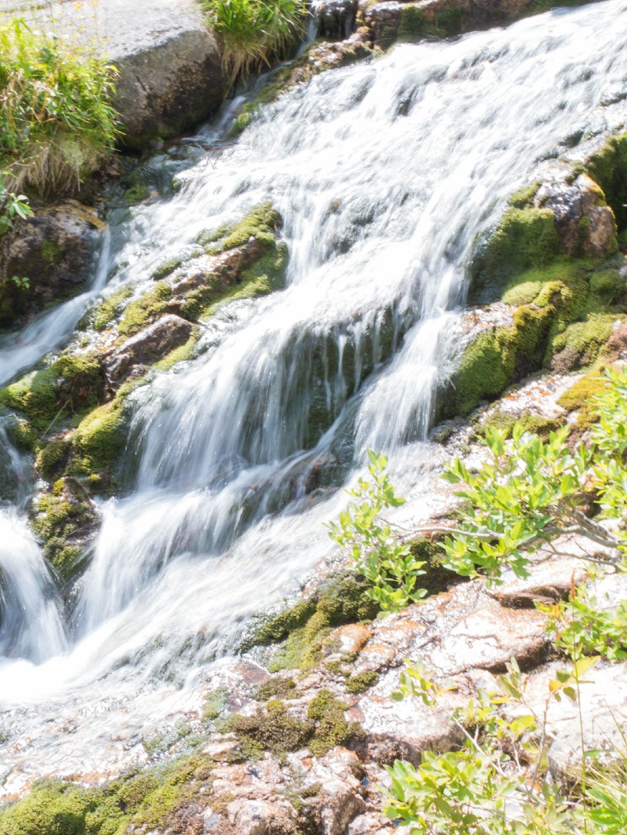 0045 medvedin 0045 medvedin