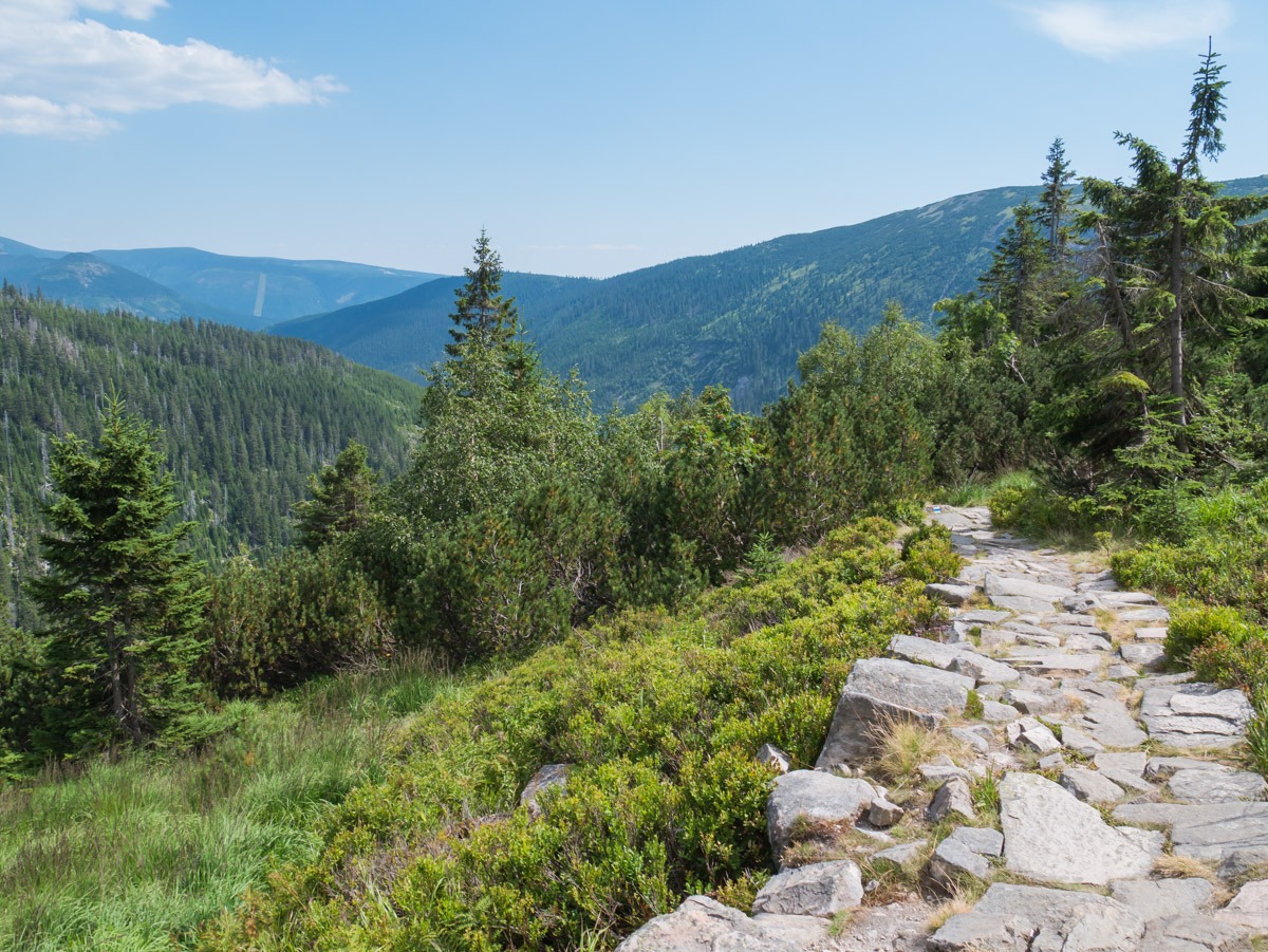 0047 medvedin 0047 medvedin