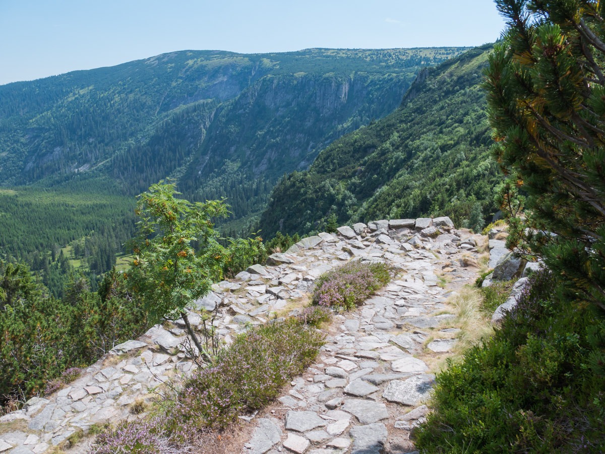 0048 medvedin 0048 medvedin