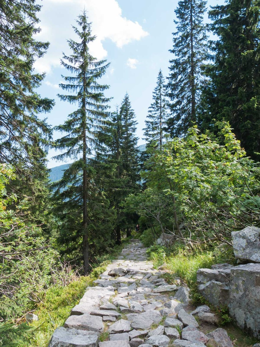 0050 medvedin 0050 medvedin