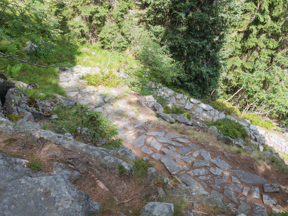 0051 medvedin 0051 medvedin