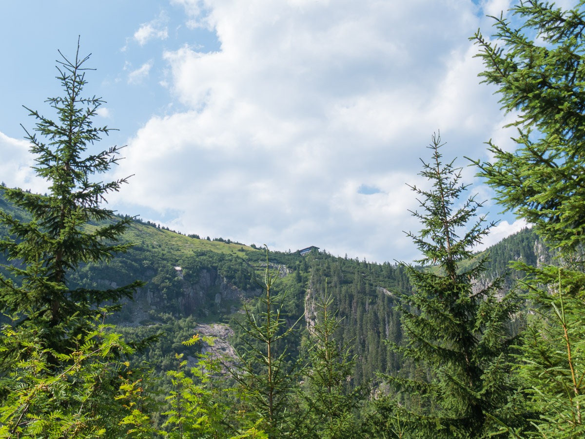 0055 medvedin 0055 medvedin