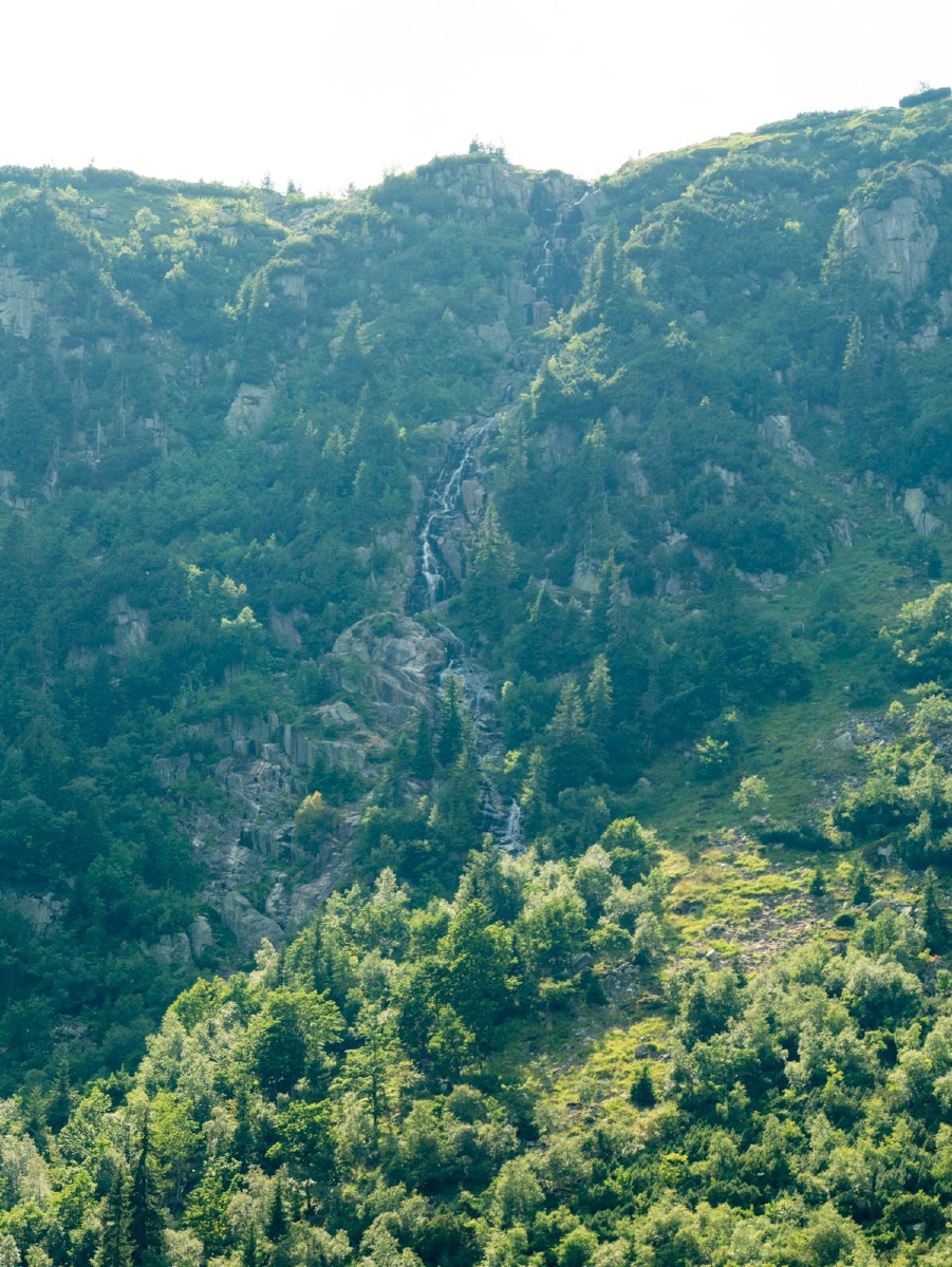 0056 medvedin 0056 medvedin