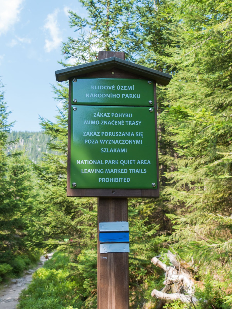 0057 medvedin 0057 medvedin