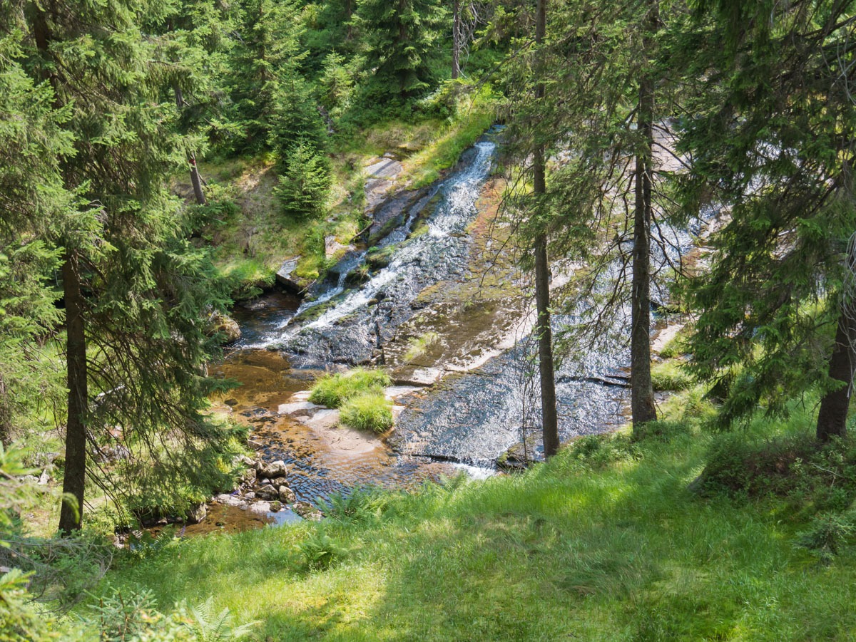 0058 medvedin 0058 medvedin