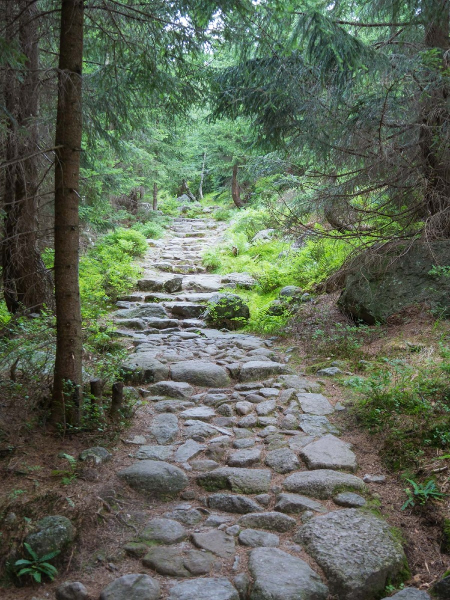 0059 medvedin 0059 medvedin