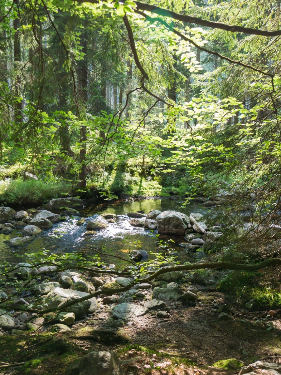 0060 medvedin 0060 medvedin