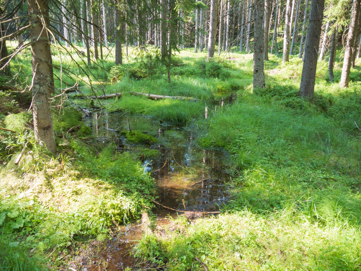 0061 medvedin 0061 medvedin