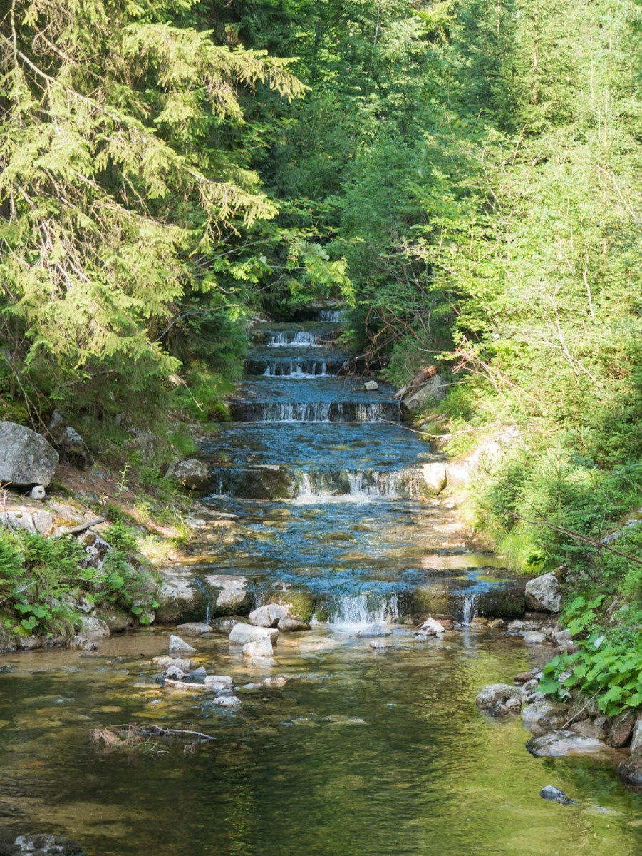 0065 medvedin 0065 medvedin