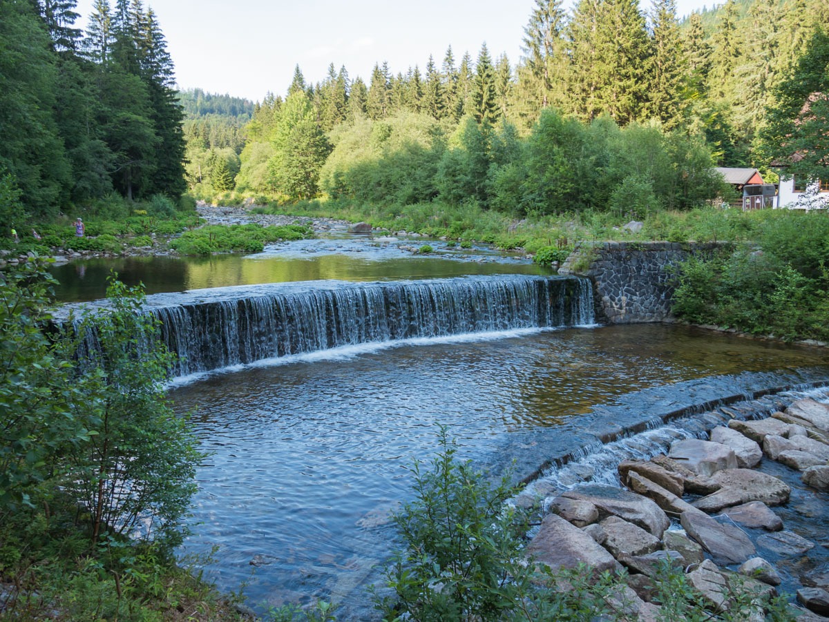 0066 medvedin 0066 medvedin