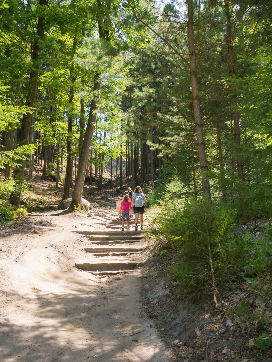 220804 prachovske skaly 0001  220804 prachovske skaly 0001