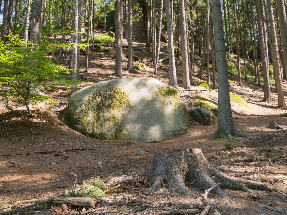 220804 prachovske skaly 0002  220804 prachovske skaly 0002