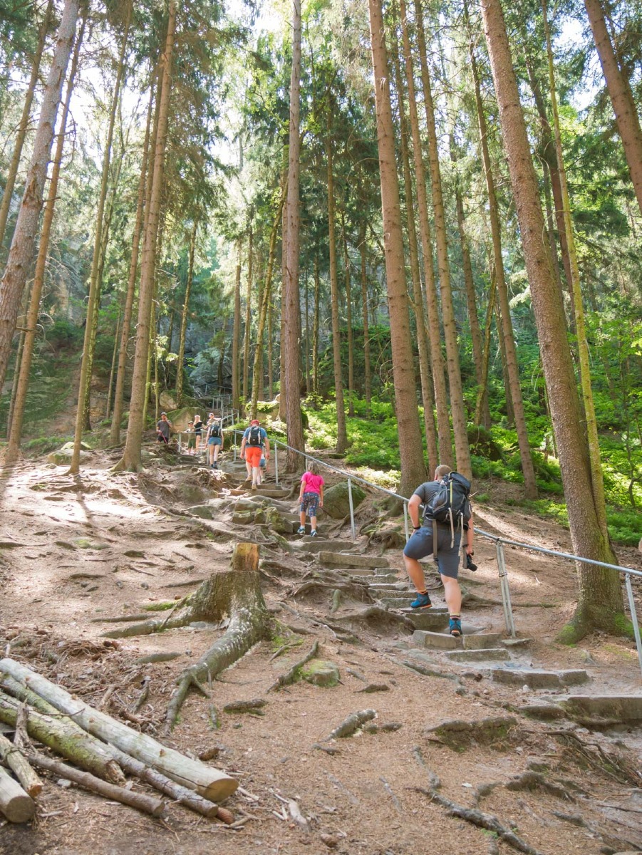 220804 prachovske skaly 0003  220804 prachovske skaly 0003