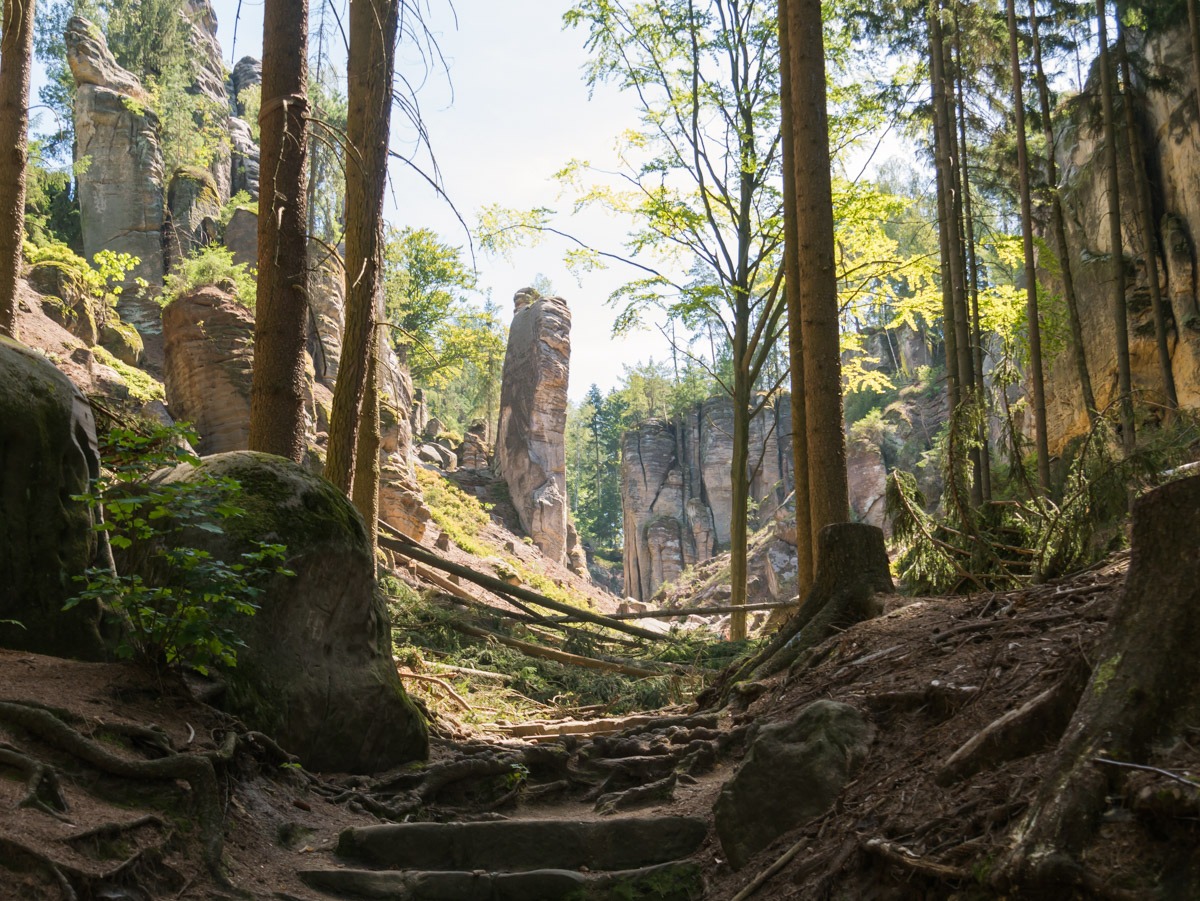 220804 prachovske skaly 0004  220804 prachovske skaly 0004