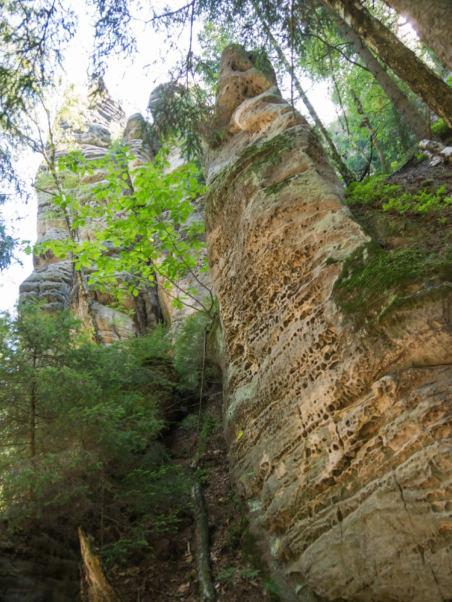 220804 prachovske skaly 0007  220804 prachovske skaly 0007