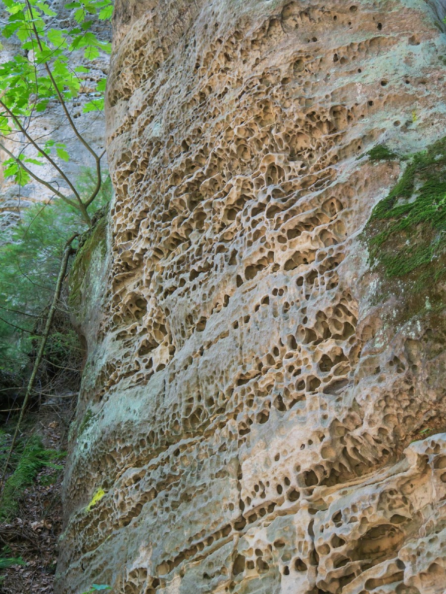 220804 prachovske skaly 0008  220804 prachovske skaly 0008