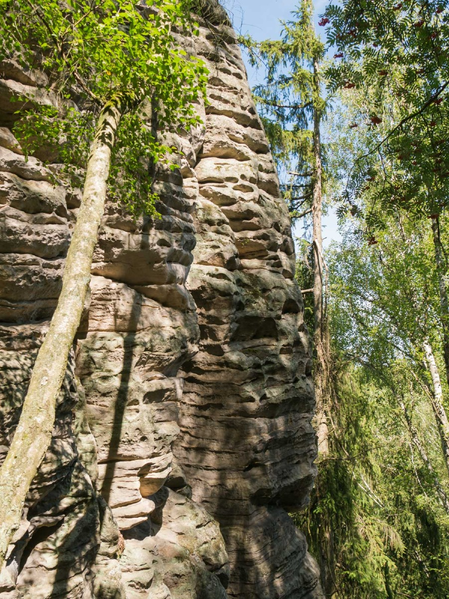 220804 prachovske skaly 0011  220804 prachovske skaly 0011