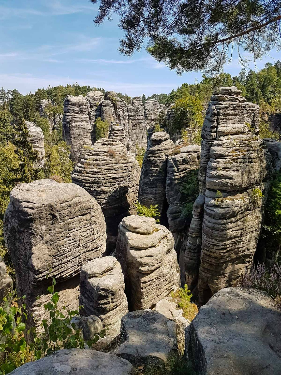 220804 prachovske skaly 0013 2022 08 04.25.21 220804 prachovske skaly 0013 2022 08 04.25.21