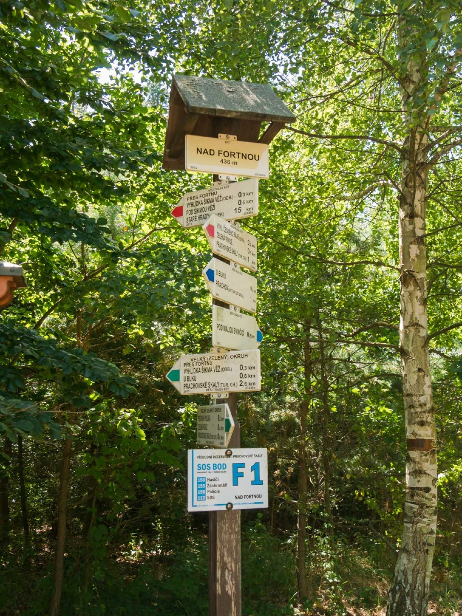 220804 prachovske skaly 0015  220804 prachovske skaly 0015