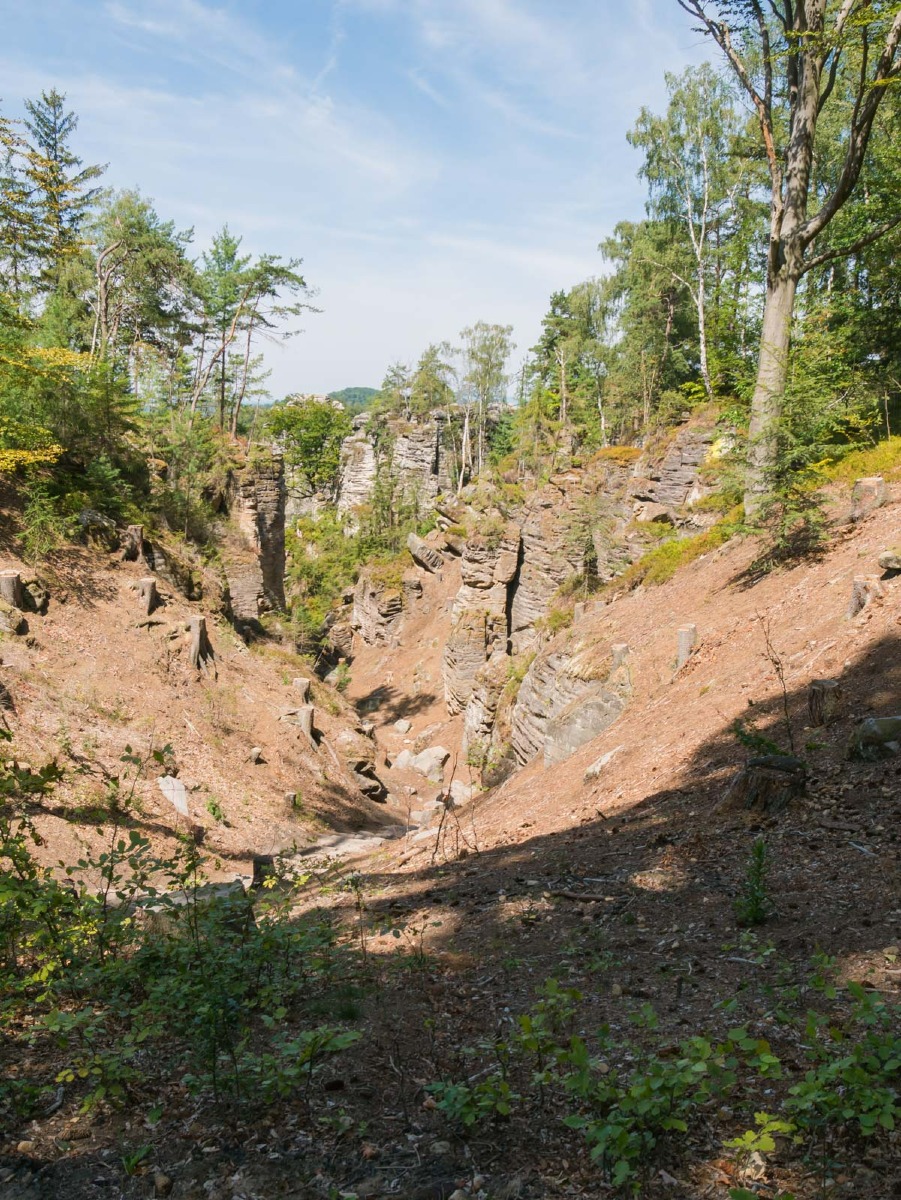 220804 prachovske skaly 0016  220804 prachovske skaly 0016