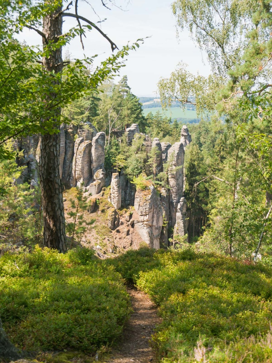 220804 prachovske skaly 0018  220804 prachovske skaly 0018