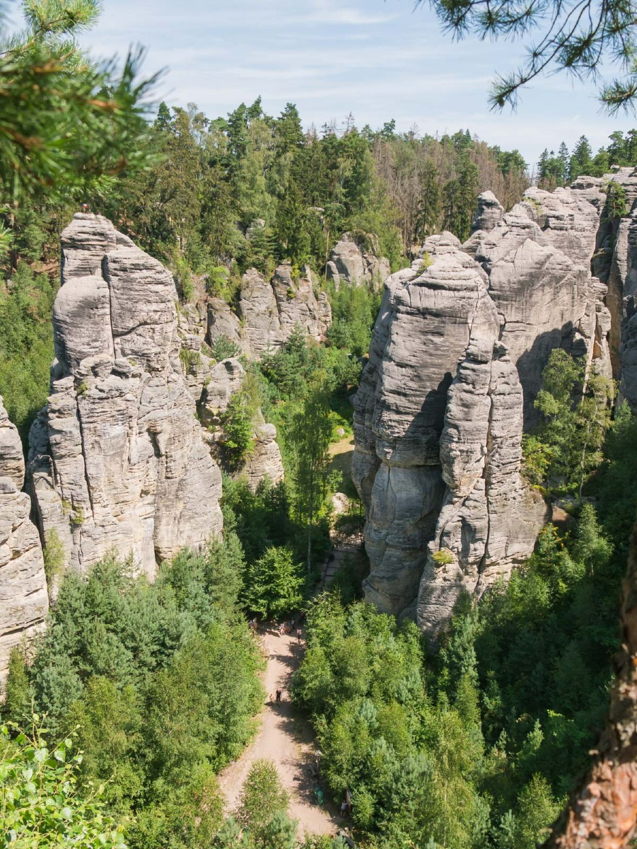 220804 prachovske skaly 0020  220804 prachovske skaly 0020