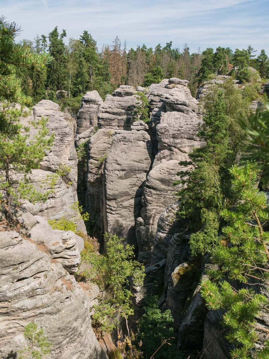 220804 prachovske skaly 0022  220804 prachovske skaly 0022