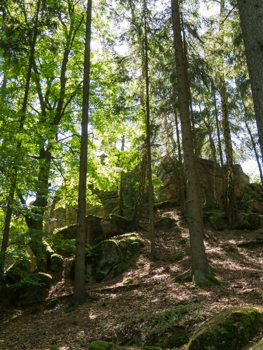 220804 prachovske skaly 0026  220804 prachovske skaly 0026