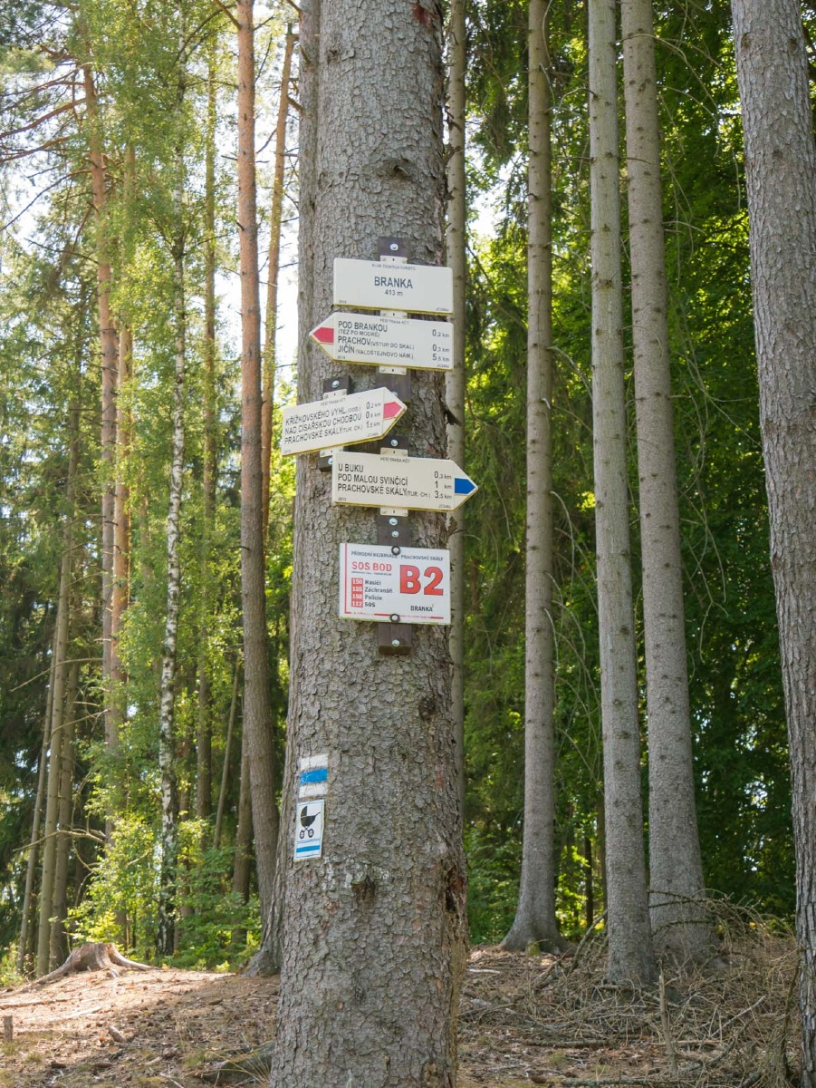 220804 prachovske skaly 0027  220804 prachovske skaly 0027