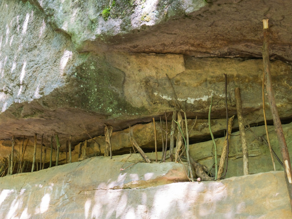 220804 prachovske skaly 0029  220804 prachovske skaly 0029