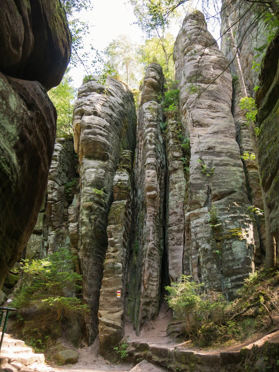 220804 prachovske skaly 0034  220804 prachovske skaly 0034