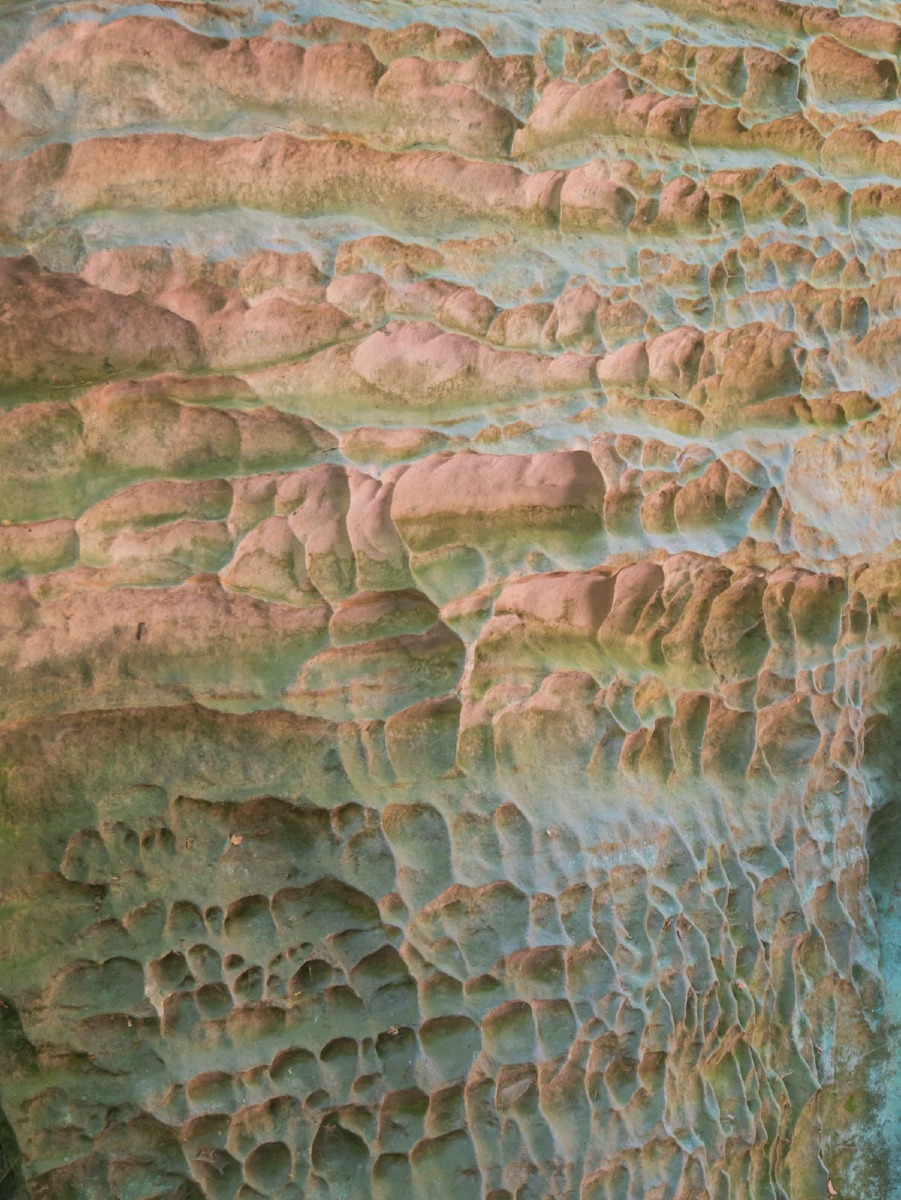 220804 prachovske skaly 0036  220804 prachovske skaly 0036