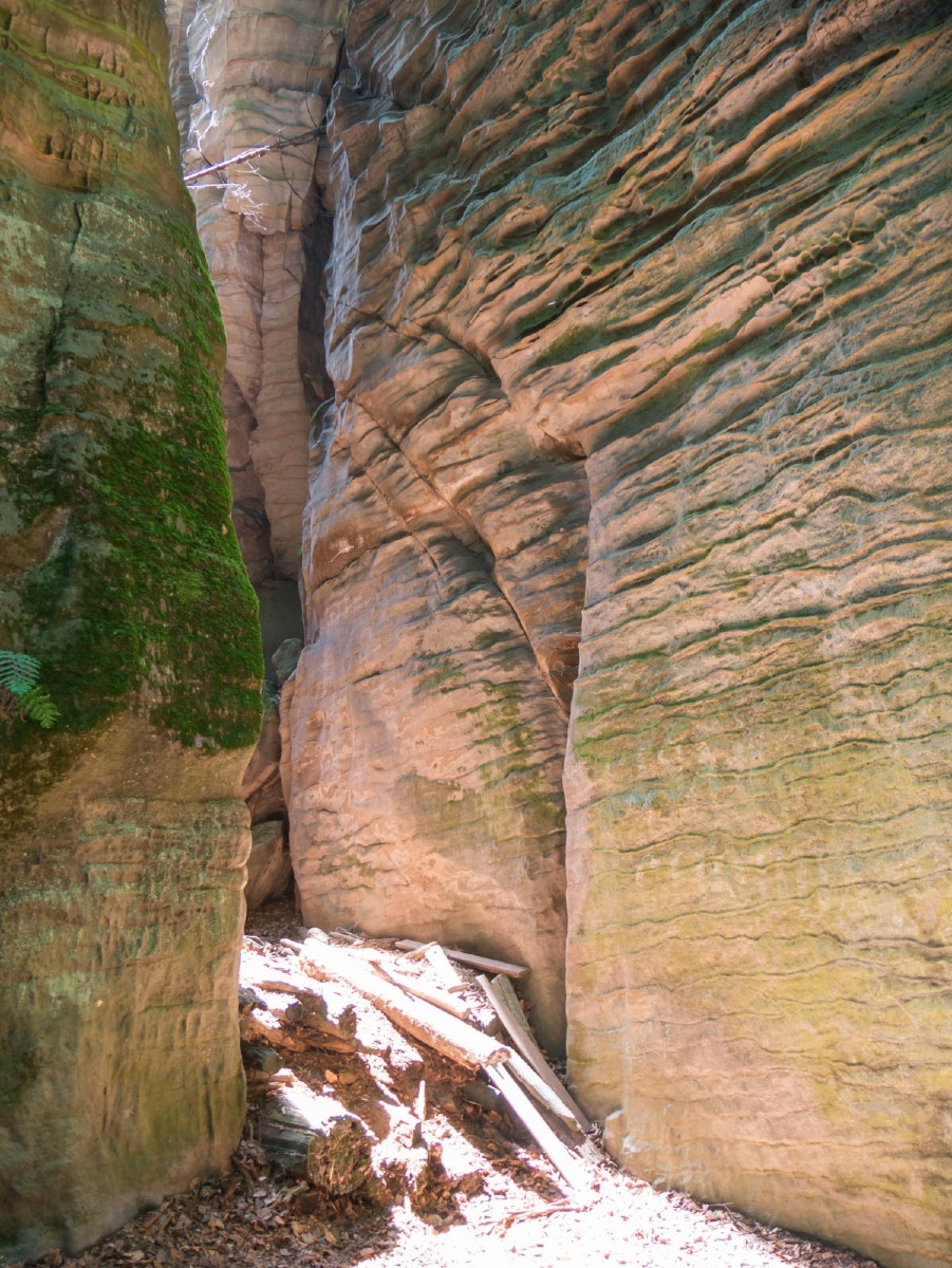 220804 prachovske skaly 0037  220804 prachovske skaly 0037