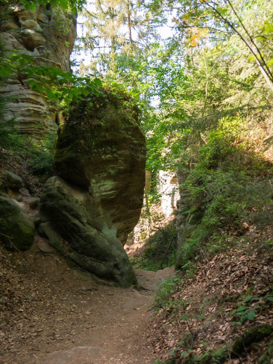 220804 prachovske skaly 0038  220804 prachovske skaly 0038