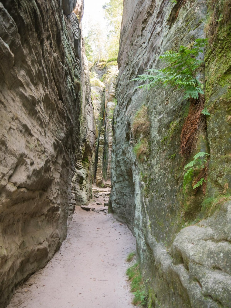 220804 prachovske skaly 0039  220804 prachovske skaly 0039