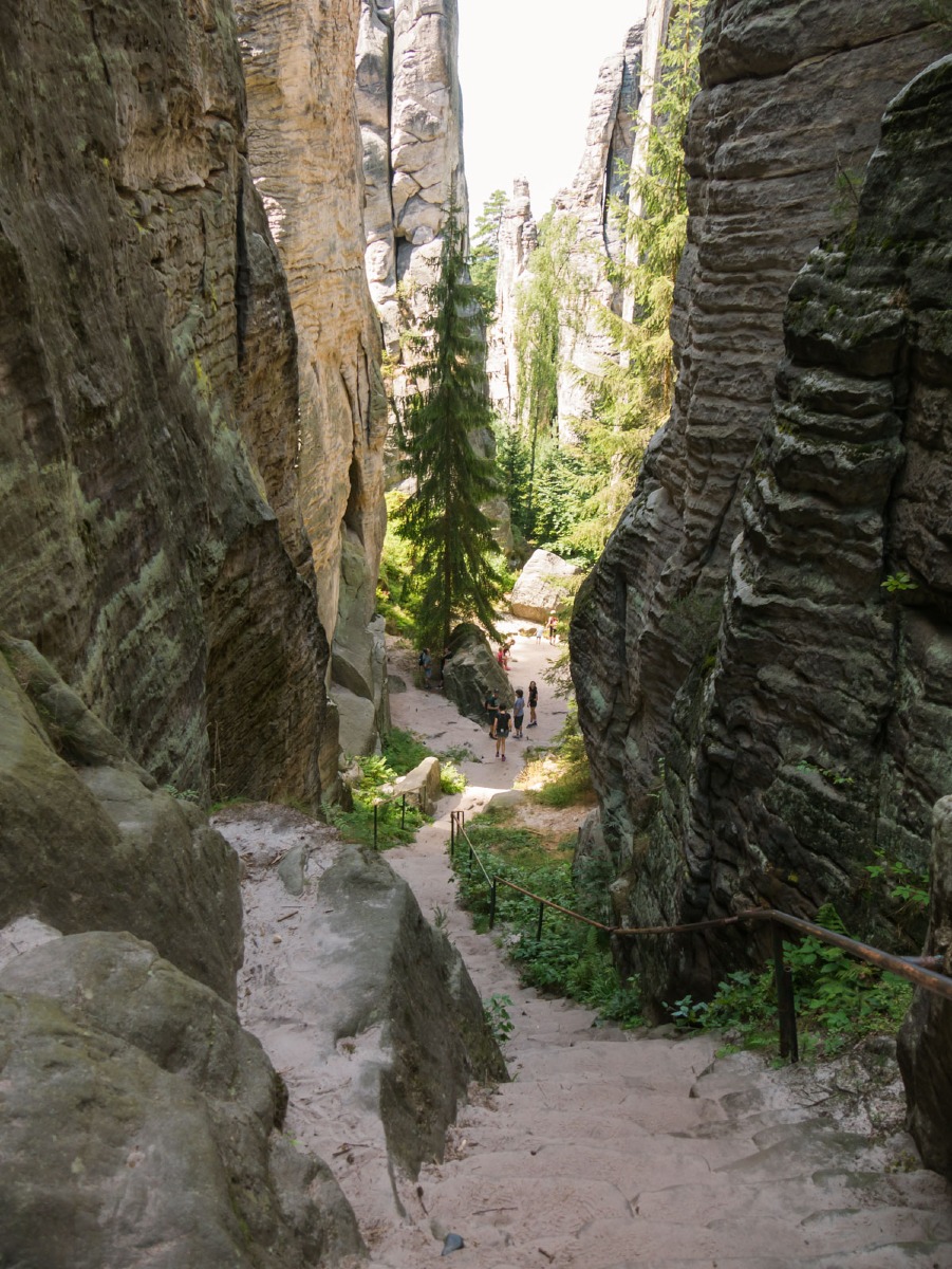 220804 prachovske skaly 0041  220804 prachovske skaly 0041