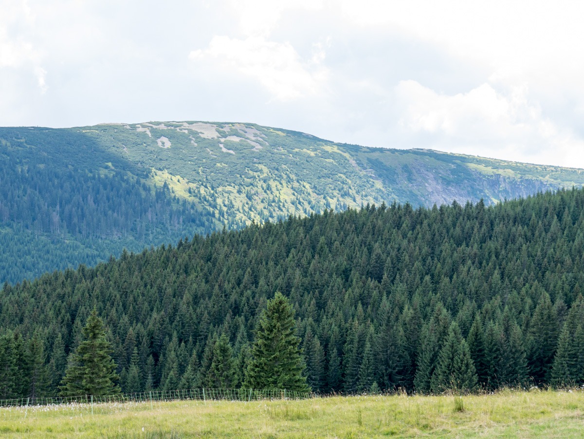 220802 spindleruv mlyn en omgeving 0008  220802 spindleruv mlyn en omgeving 0008