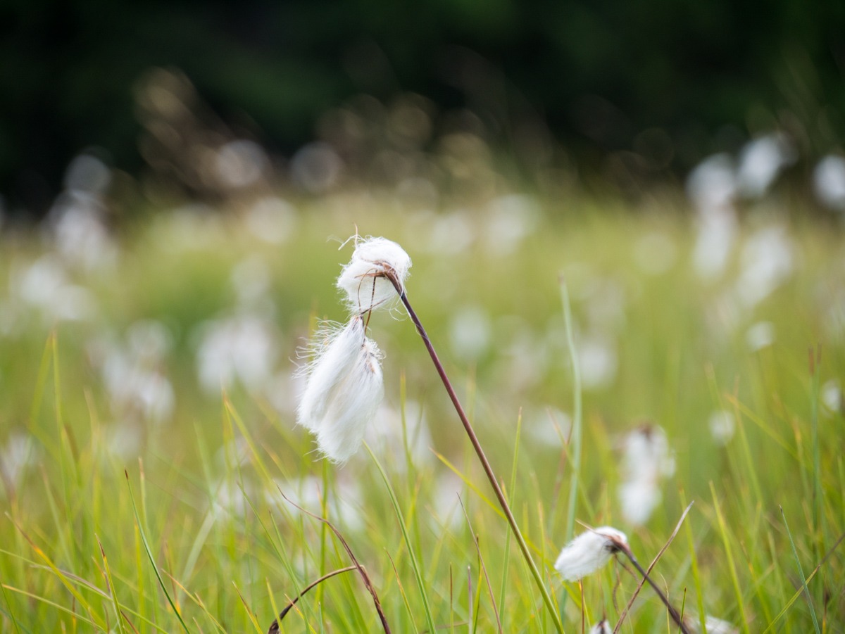 220802 spindleruv mlyn en omgeving 0010  220802 spindleruv mlyn en omgeving 0010