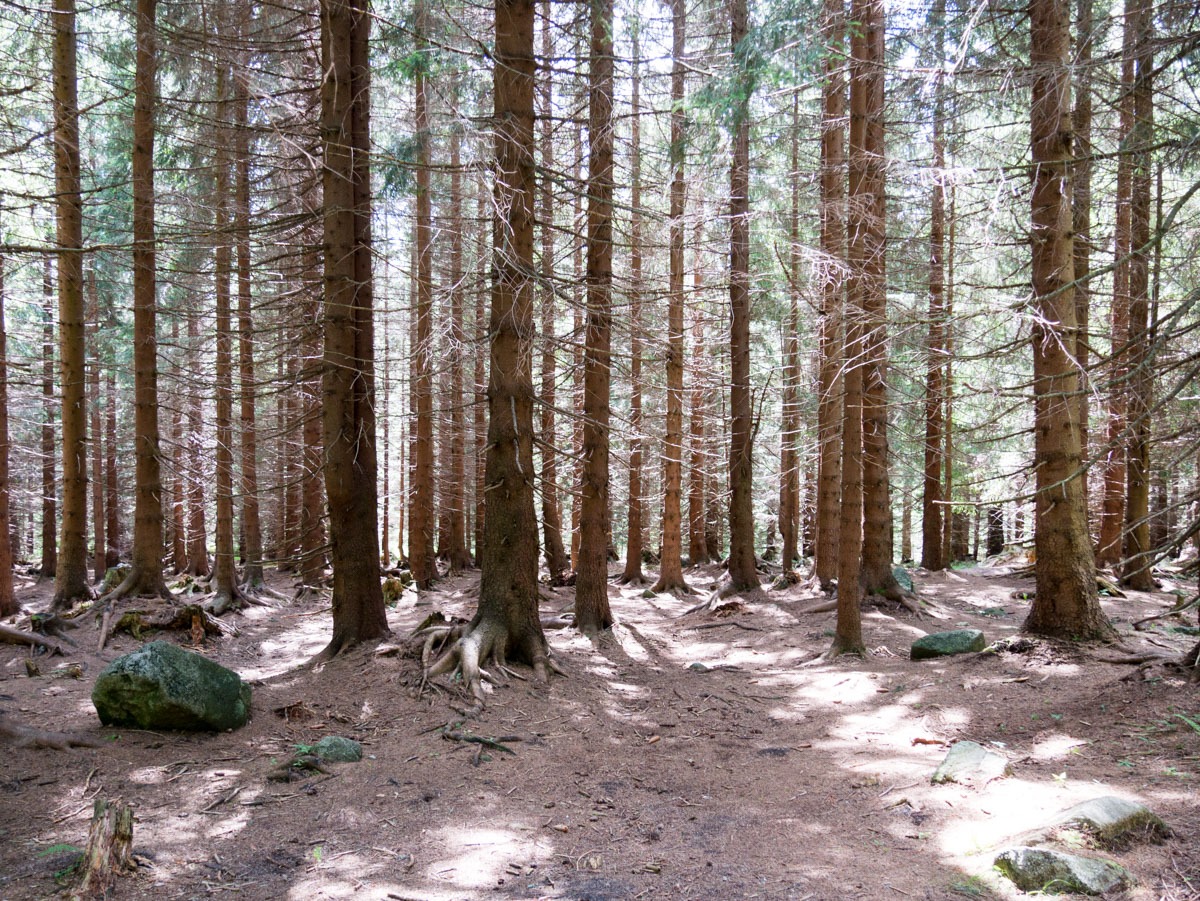 220802 spindleruv mlyn en omgeving 0015  220802 spindleruv mlyn en omgeving 0015