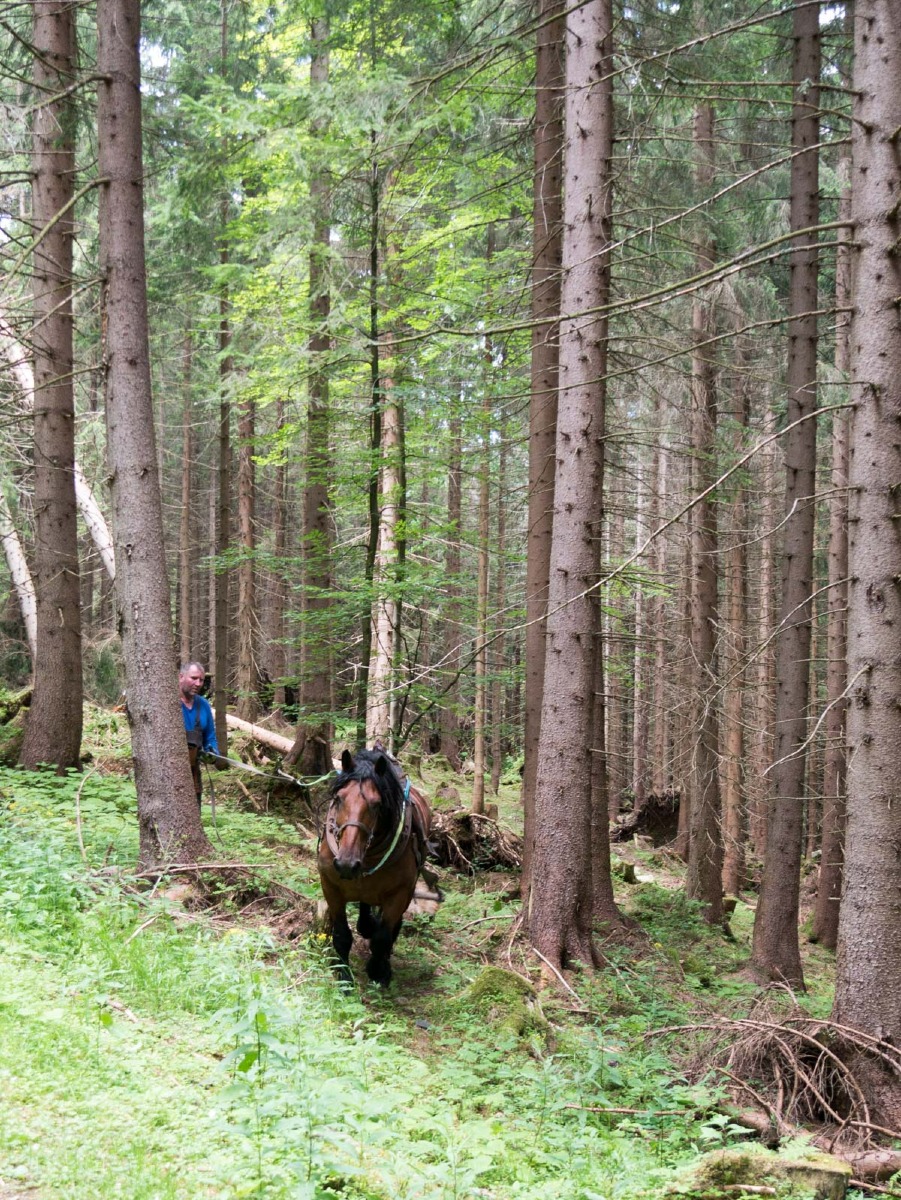 220802 spindleruv mlyn en omgeving 0018  220802 spindleruv mlyn en omgeving 0018